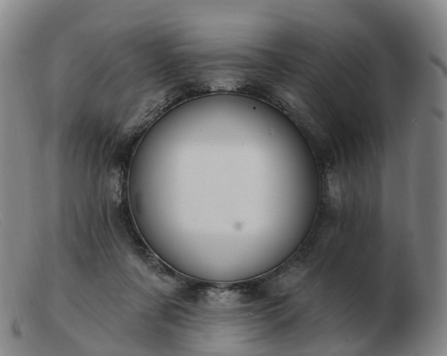 X0000103440311200809191731