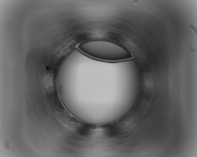 X0000103440312200809191731