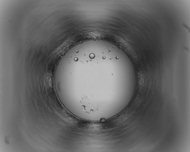 X0000103440313200809191731