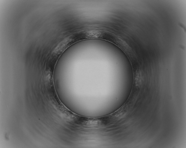 X0000103440314200809191731