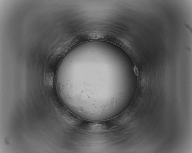 X0000103440315200809191731