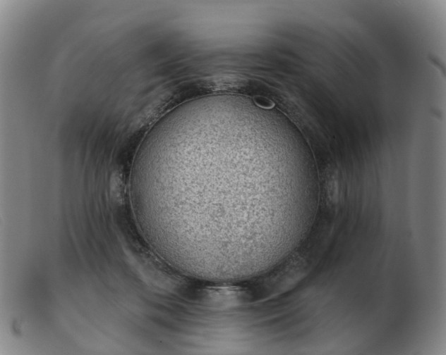 X0000103440316200809191731