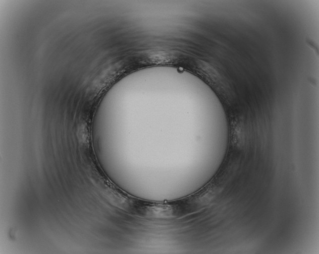 X0000103440317200809191731