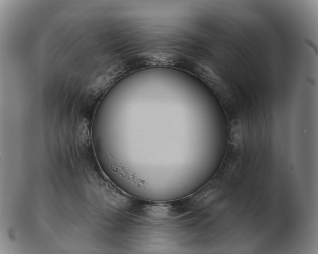 X0000103440318200809191731