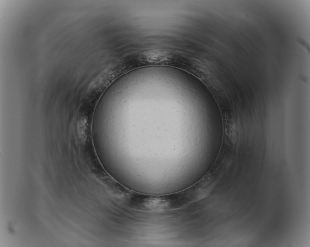 X0000103440319200809191731
