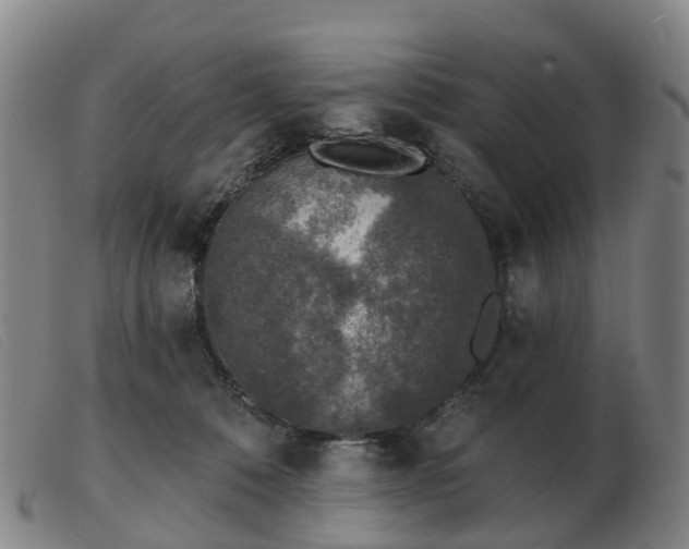 X0000103440320200809191731