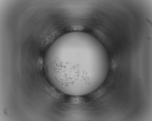 X0000103440321200809191730