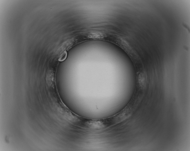 X0000103440322200809191730
