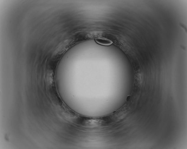 X0000103440323200809191730