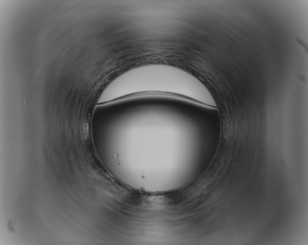 X0000103440324200809191730