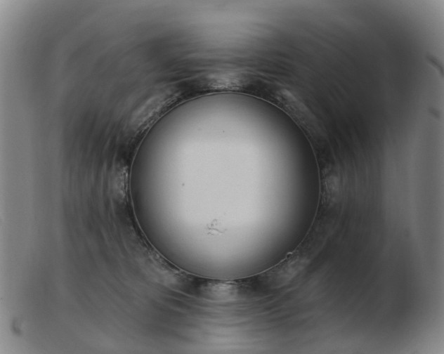 X0000103440325200809191730