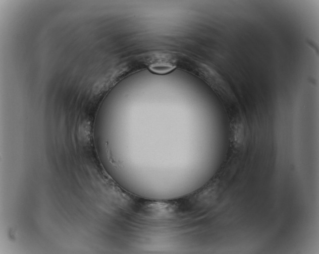 X0000103440326200809191730