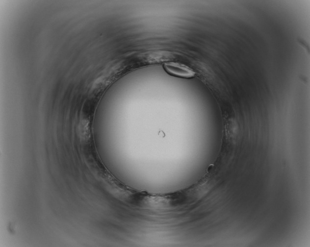 X0000103440327200809191730