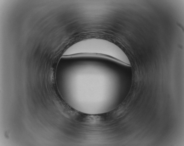 X0000103440328200809191730