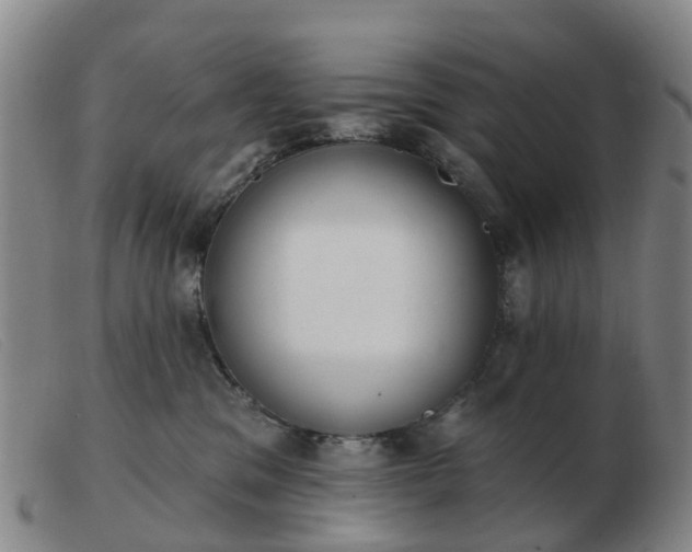 X0000103440329200809191730