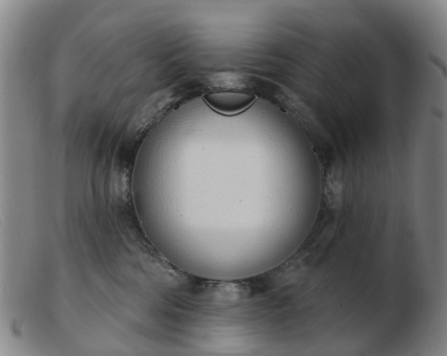 X0000103440330200809191730