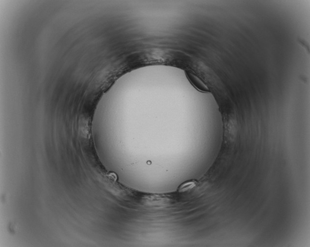 X0000103440331200809191730