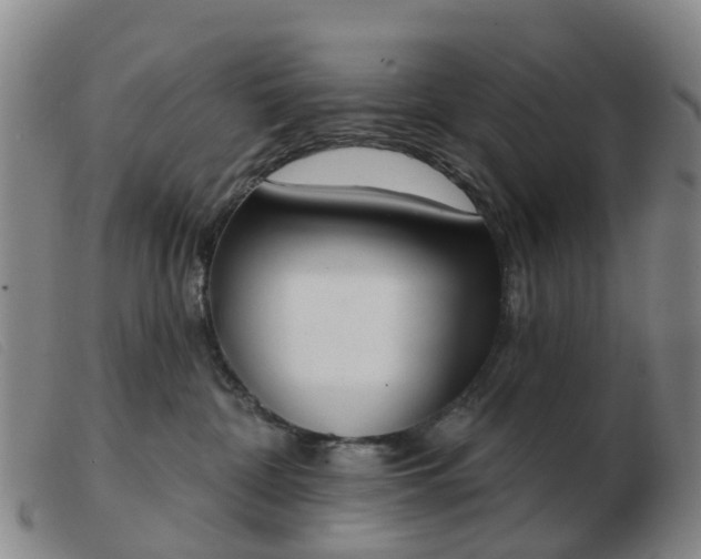 X0000103440332200809191730