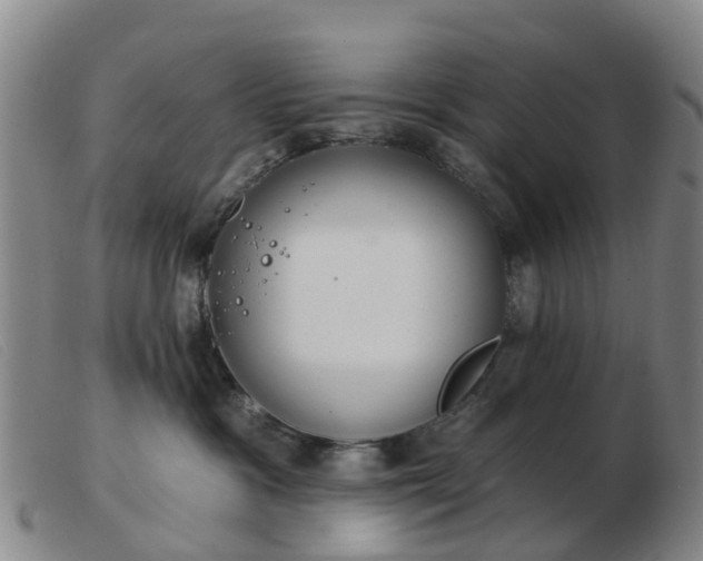 X0000103440333200809191730