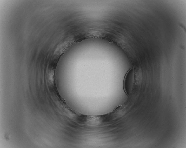 X0000103440334200809191730
