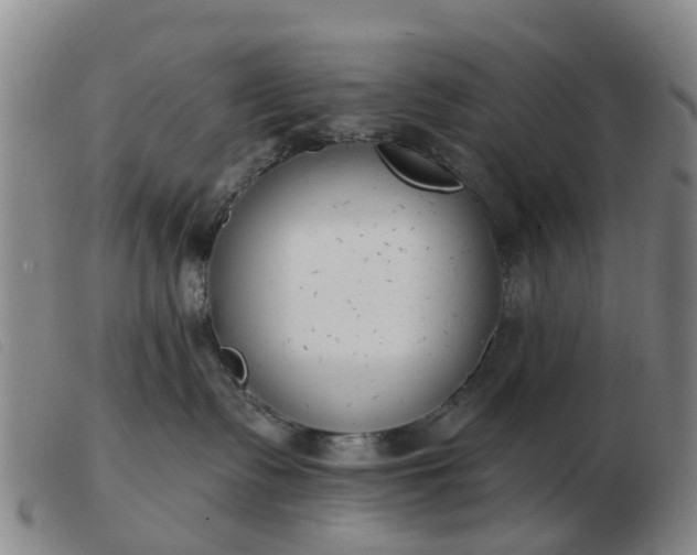 X0000103440335200809191730
