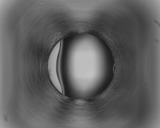 X0000103440336200809191730