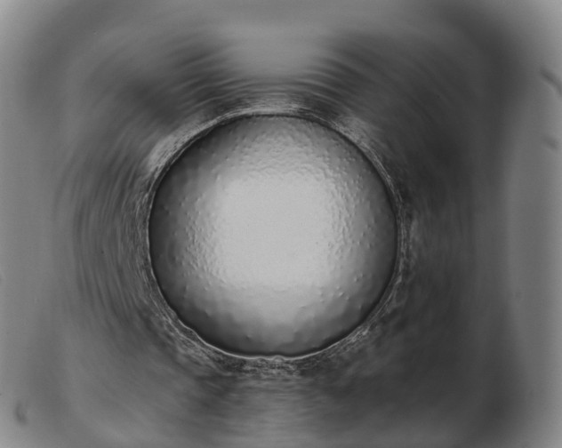 X0000103440337200809191729