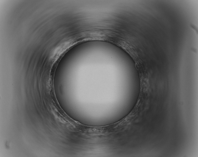 X0000103440338200809191730