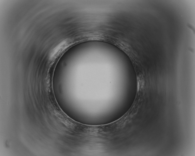 X0000103440339200809191730