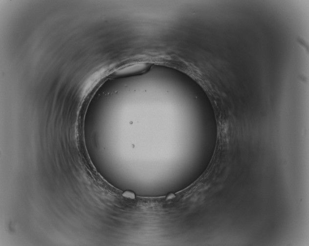 X0000103440340200809191730