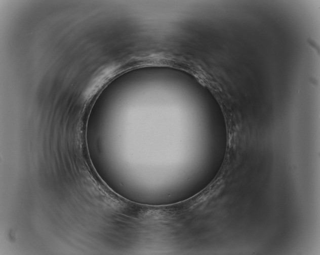 X0000103440341200809191730