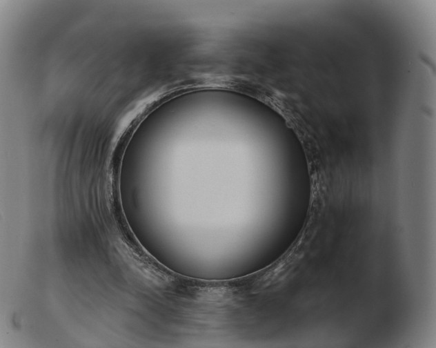 X0000103440342200809191730