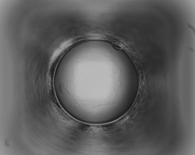 X0000103440343200809191730