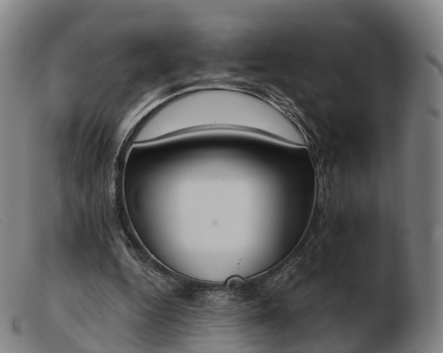 X0000103440344200809191730