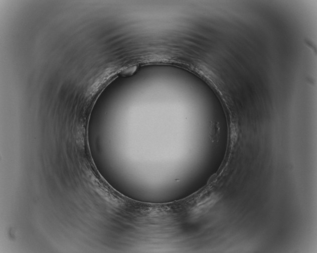 X0000103440345200809191730