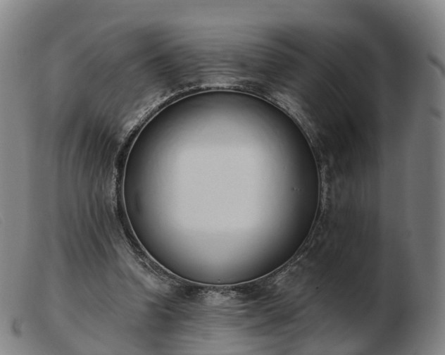X0000103440346200809191730