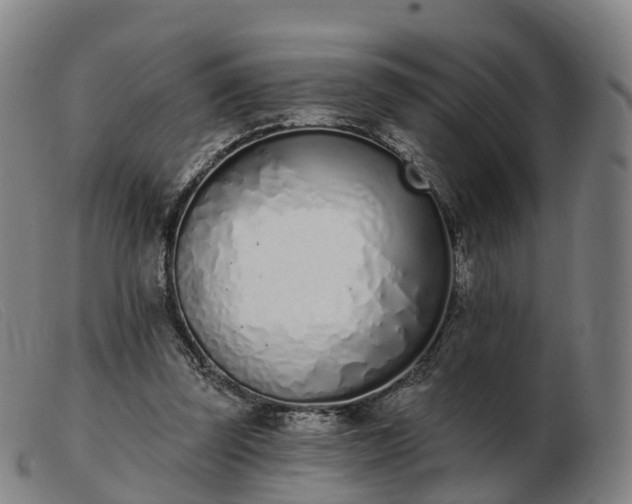 X0000103440347200809191730