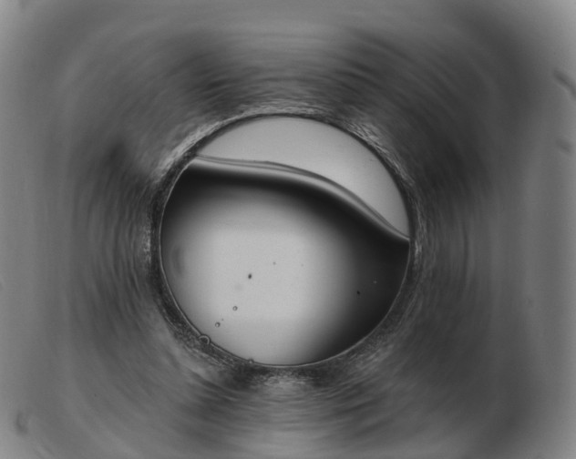 X0000103440348200809191730