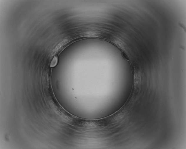 X0000103440349200809191730