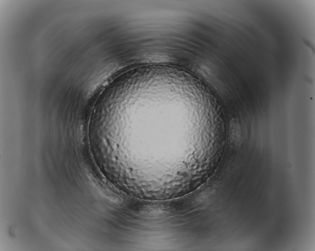 X0000103440351200809191730