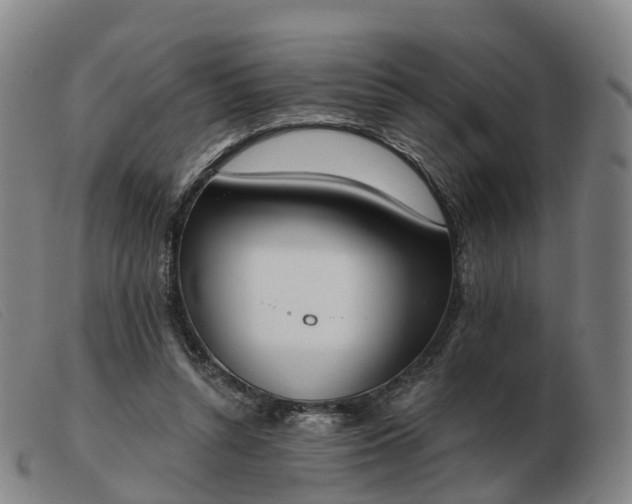 X0000103440352200809191730
