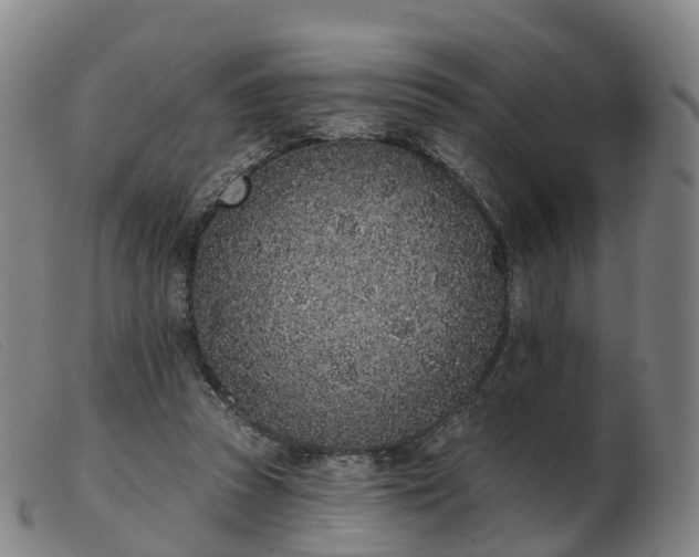X0000103440353200809191730