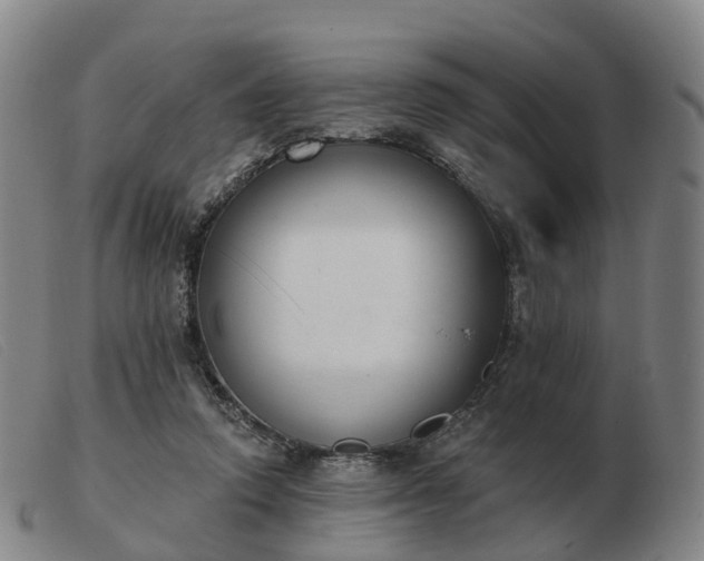 X0000103440354200809191730