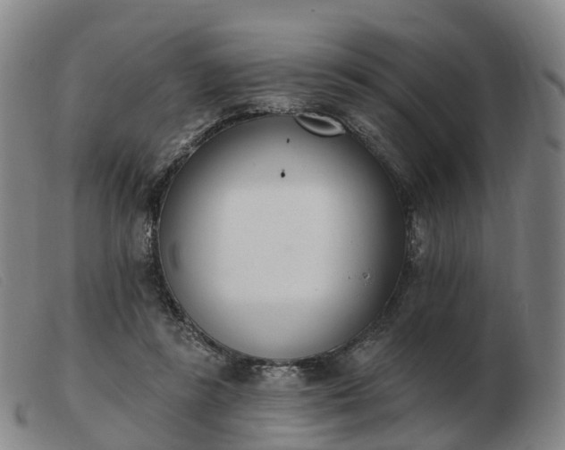 X0000103440355200809191730