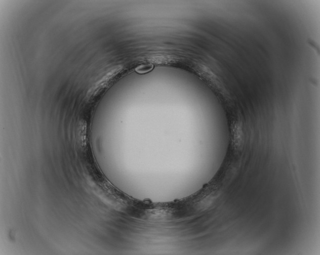 X0000103440356200809191730