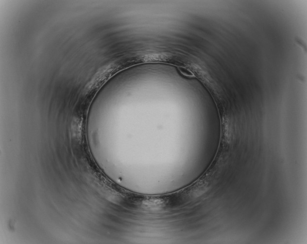X0000103440357200809191730