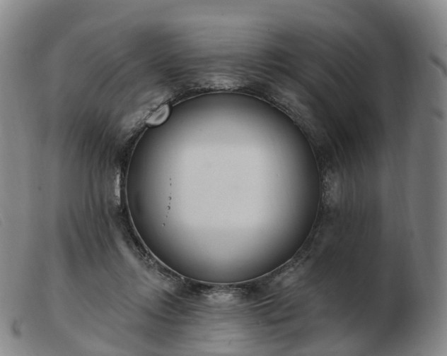 X0000103440358200809191730