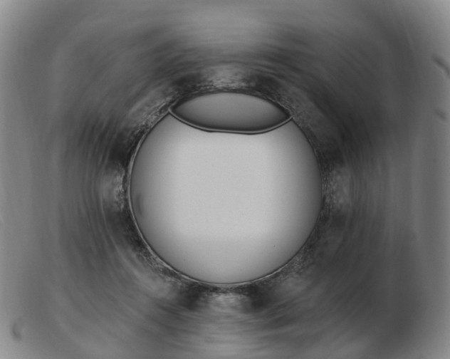 X0000103440360200809191730