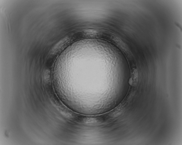 X0000103440361200809191730
