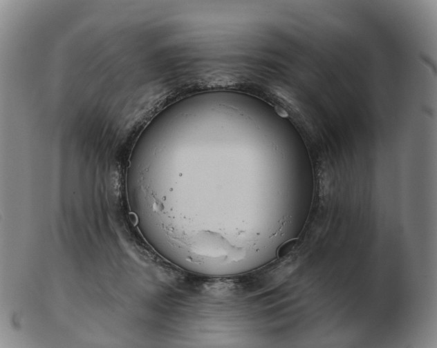 X0000103440362200809191730